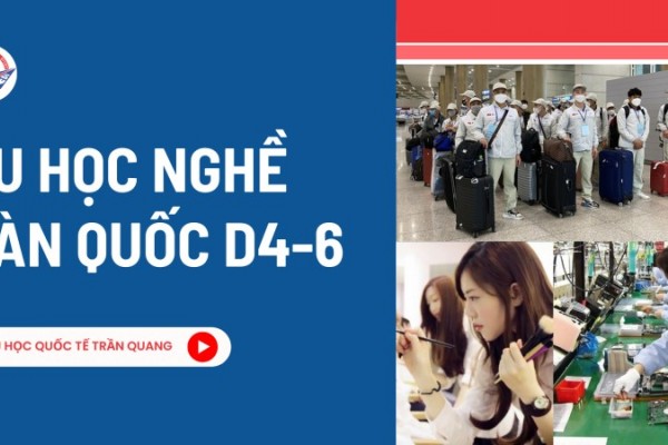 Du học nghề Hàn Quốc D4-6 là gì? Cơ hội học nhanh – làm sớm tại Hàn Quốc